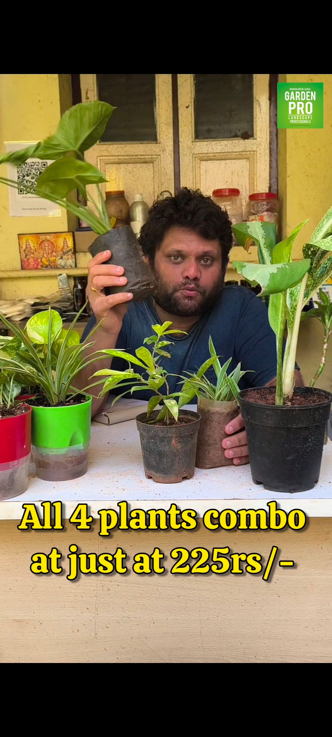 4 Plants Special Combo