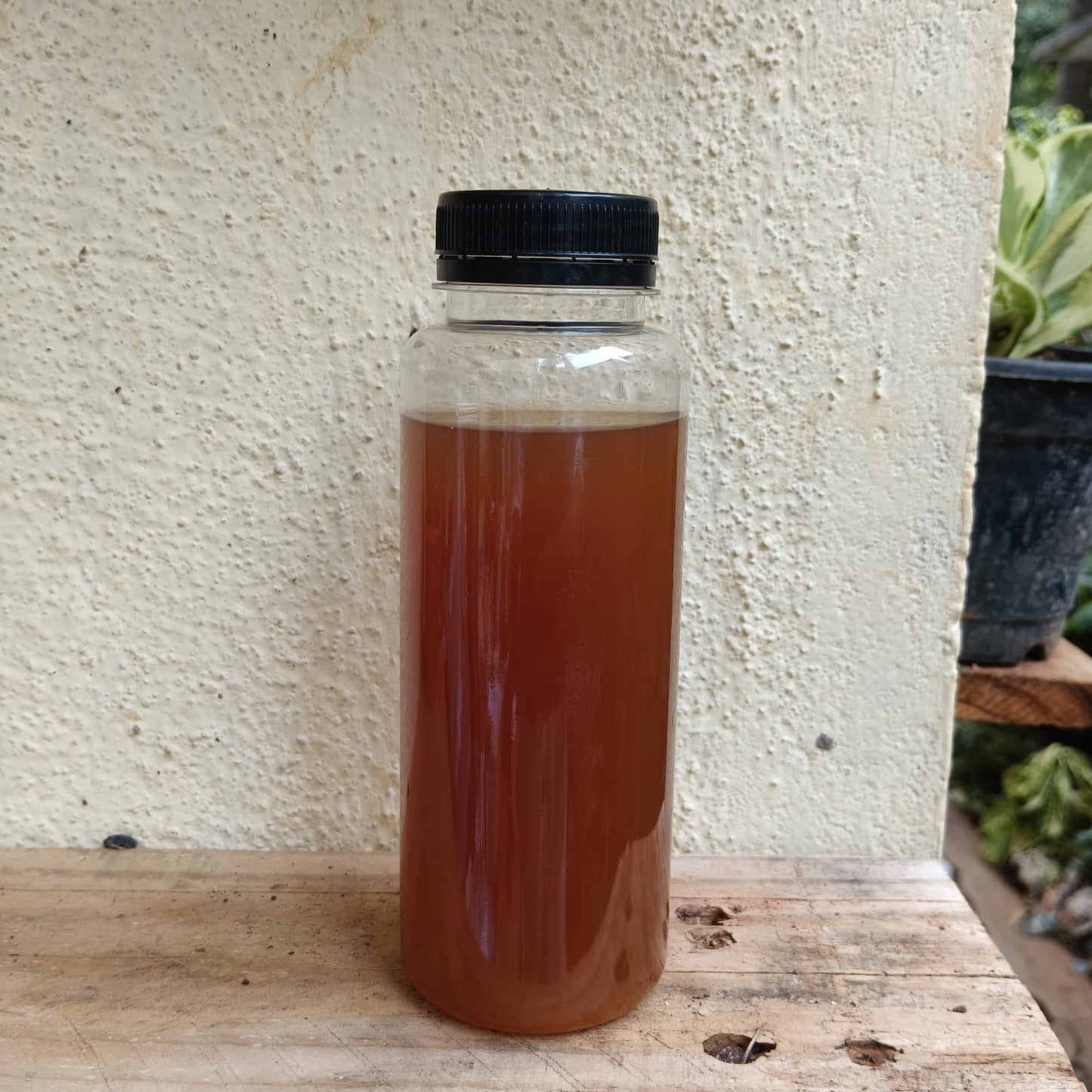 Organic Boron 250ml
