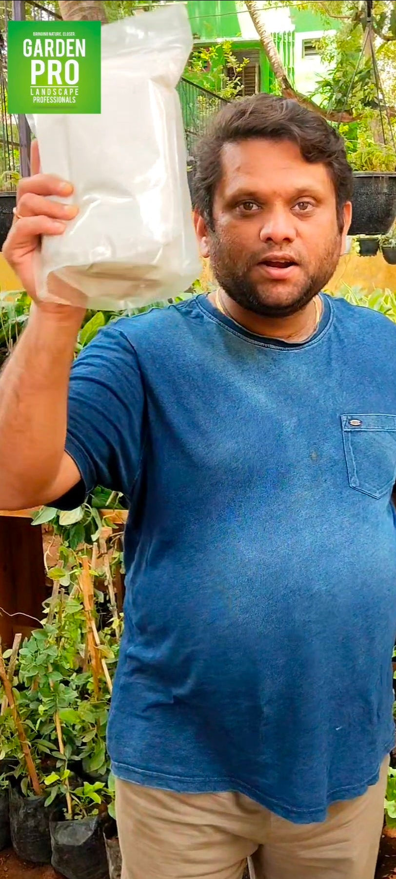 Perlite