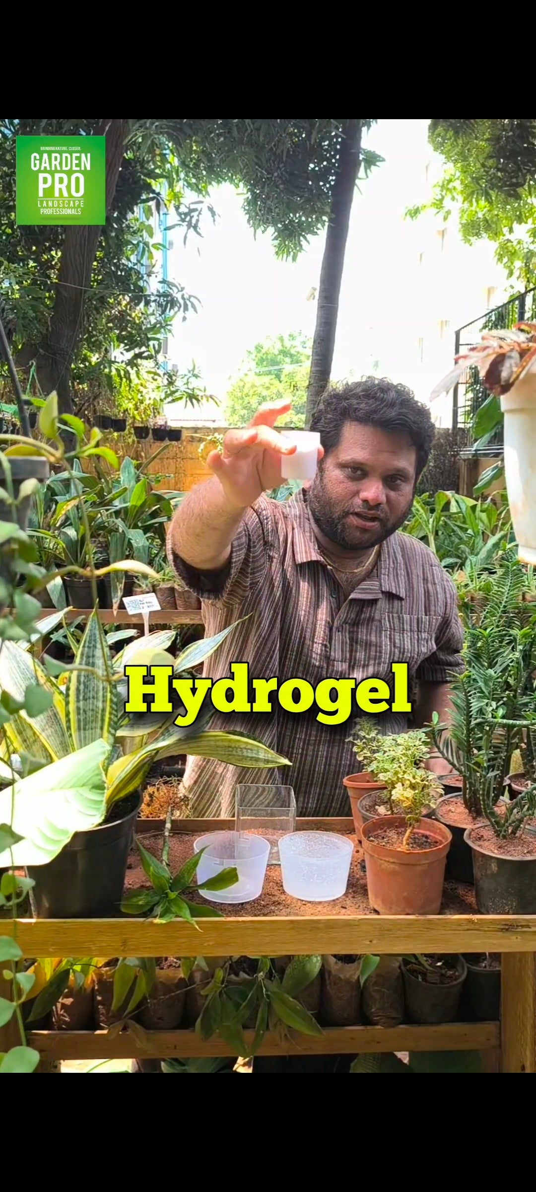 Hydrogel