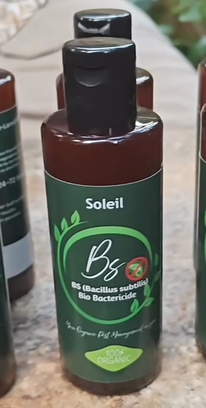 BS Bacillus subtilis Bio Bactericide