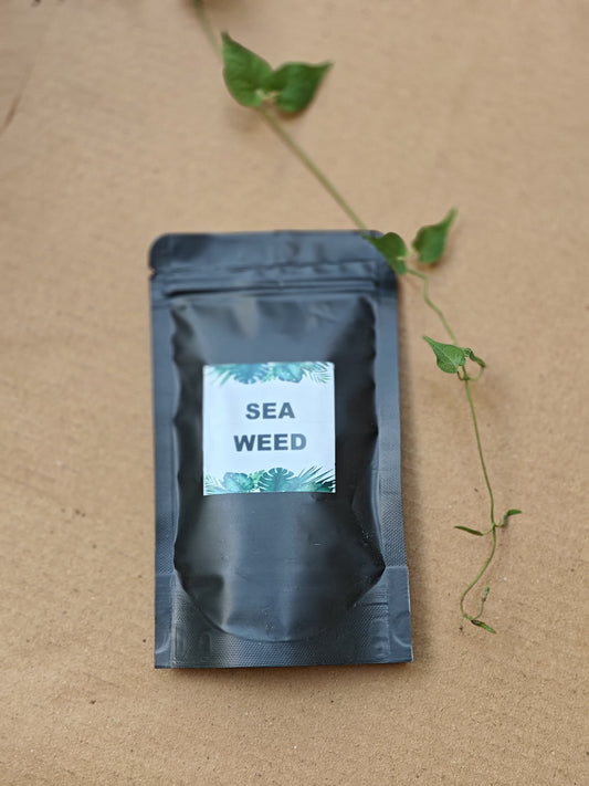 Sea Weed