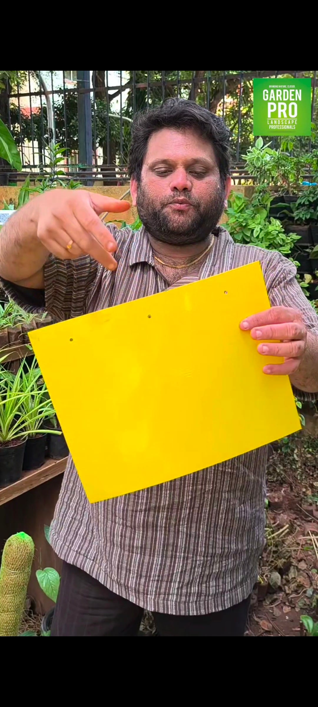 Yellow Sticky Pad