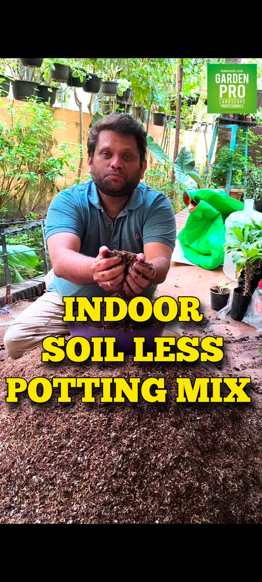 Indoor Potting Mix