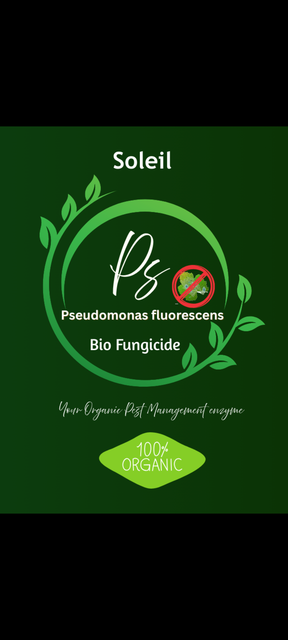 PS Pseudomonas fluorescence Bio Fungicide