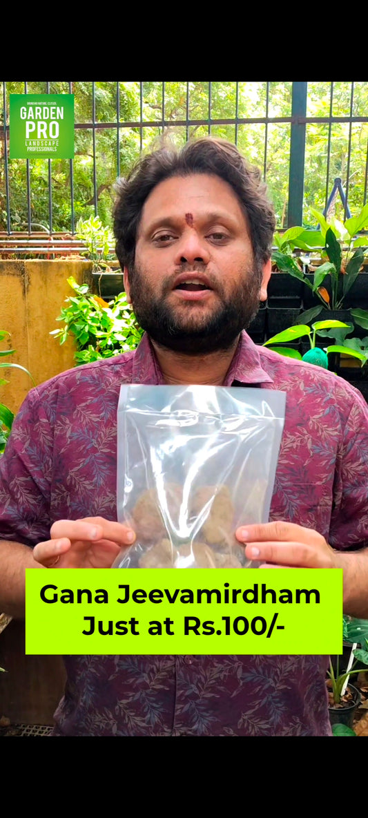 Gana Jeevamirdham